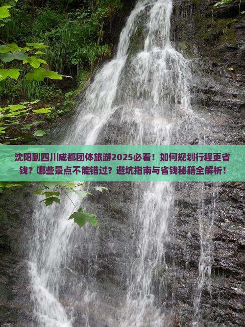 沈阳到四川成都团体旅游
