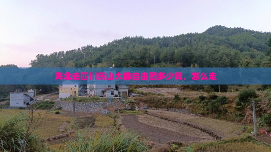 海北去四川乐山大佛自由团 海北去四川乐山大佛自由团