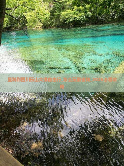 垦利到四川乐山大佛自由行