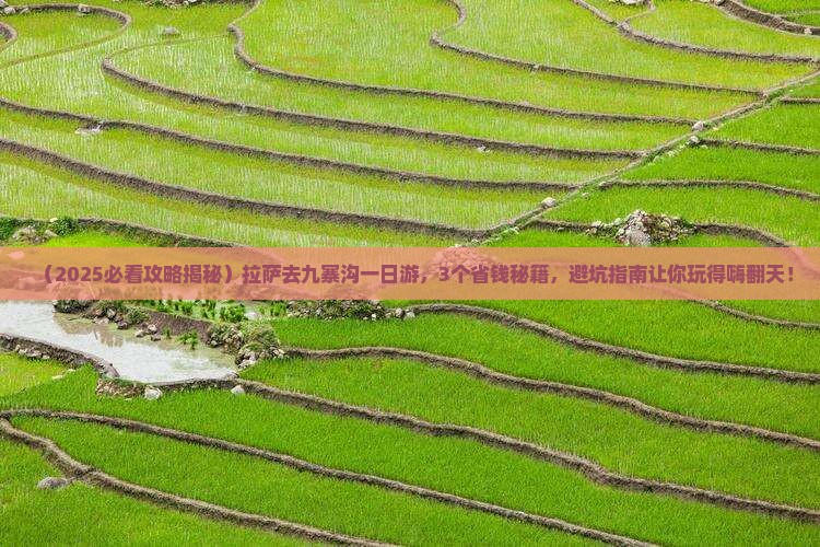 拉萨去四川九寨沟一日