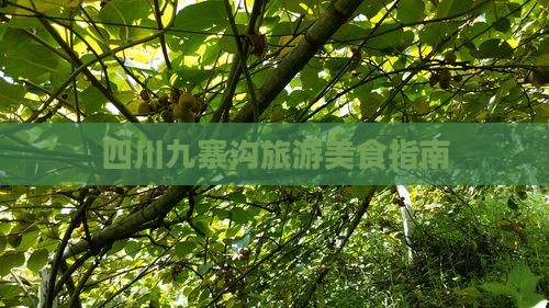 曲靖到四川九寨沟旅游小吃