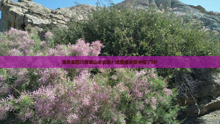 海东去四川青城山必去地