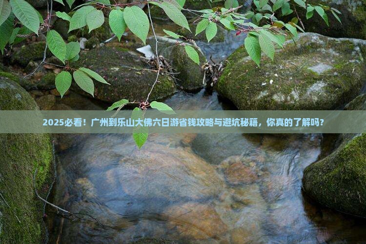 广州到四川乐山大佛六日游