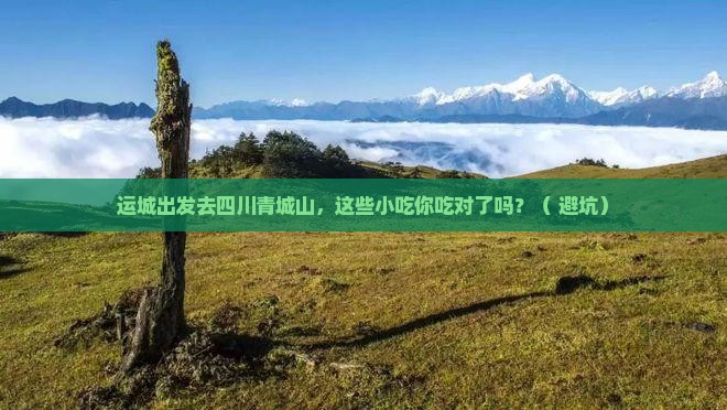 运城去四川青城山旅游小吃