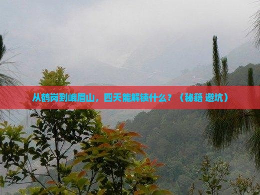 鹤岗去四川峨眉山四日游