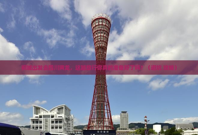 桐城去四川黄龙旅行社