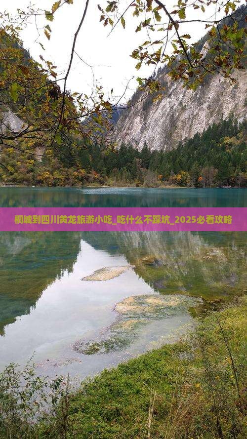 桐城到四川黄龙旅游小吃