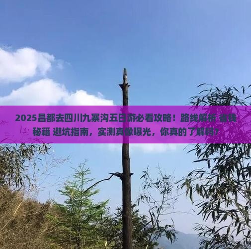 昌都去四川九寨沟五日游