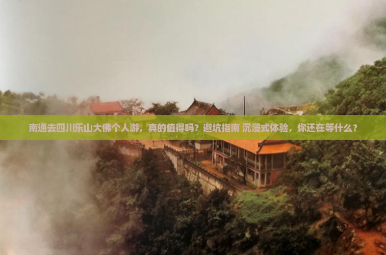 南通去四川乐山大佛个人游