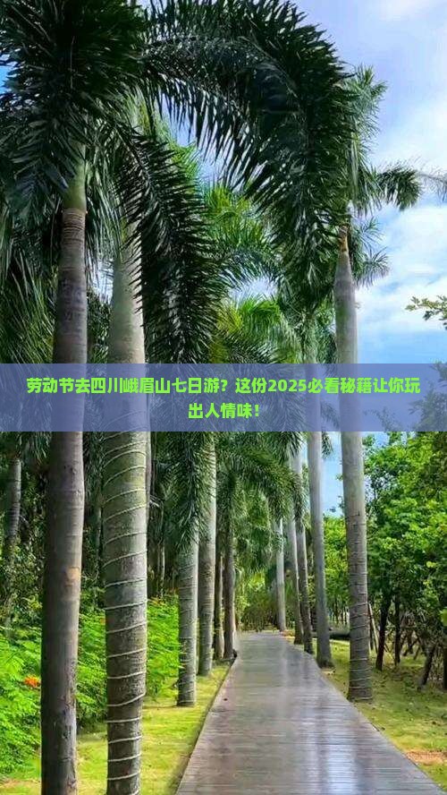 劳动节去四川峨眉山七日游