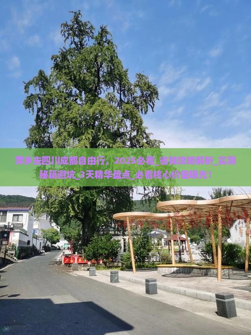 萍乡去四川成都自由行