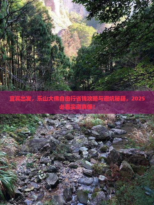 宜宾到四川乐山大佛自由行