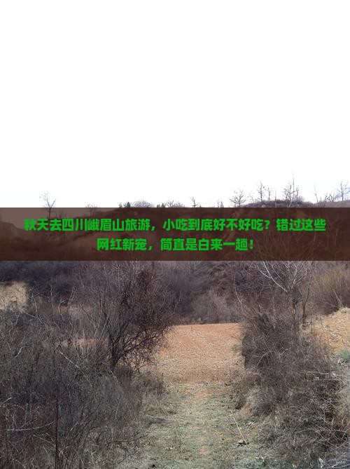 秋天到四川峨眉山旅游小吃