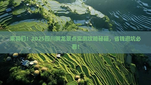 来宾去四川黄龙景点