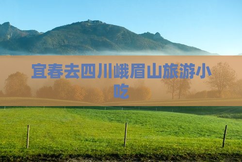 宜春去四川峨眉山旅游小吃