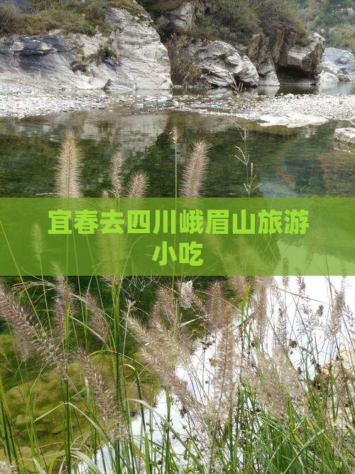 宜春去四川峨眉山旅游小吃