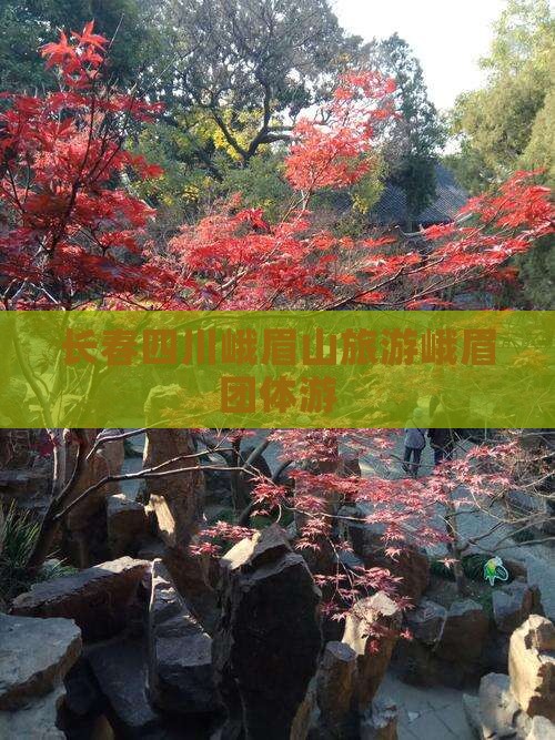 长春到四川峨眉山团体旅游