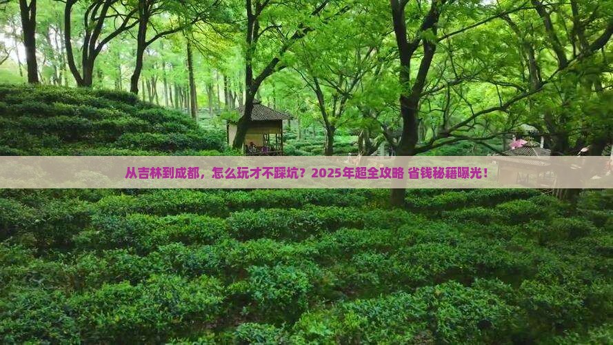吉林去四川成都攻略