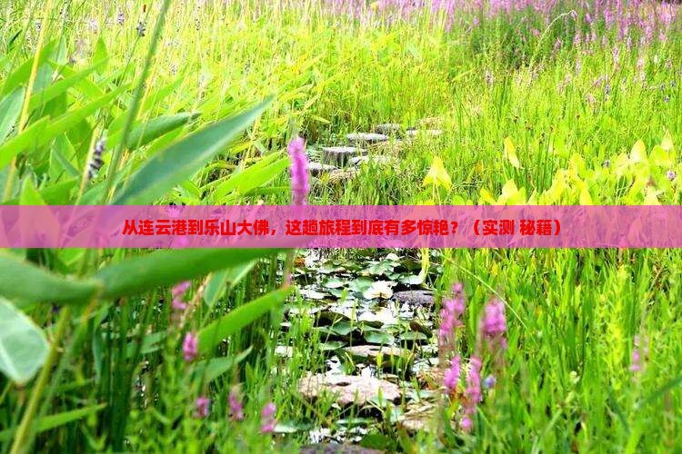连云港到四川乐山大佛攻略