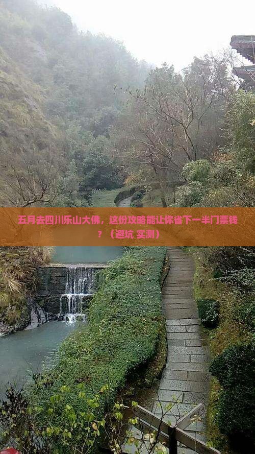 五月到四川乐山大佛门票