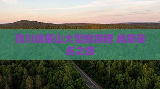 鹤岗去四川峨眉山大型旅游团