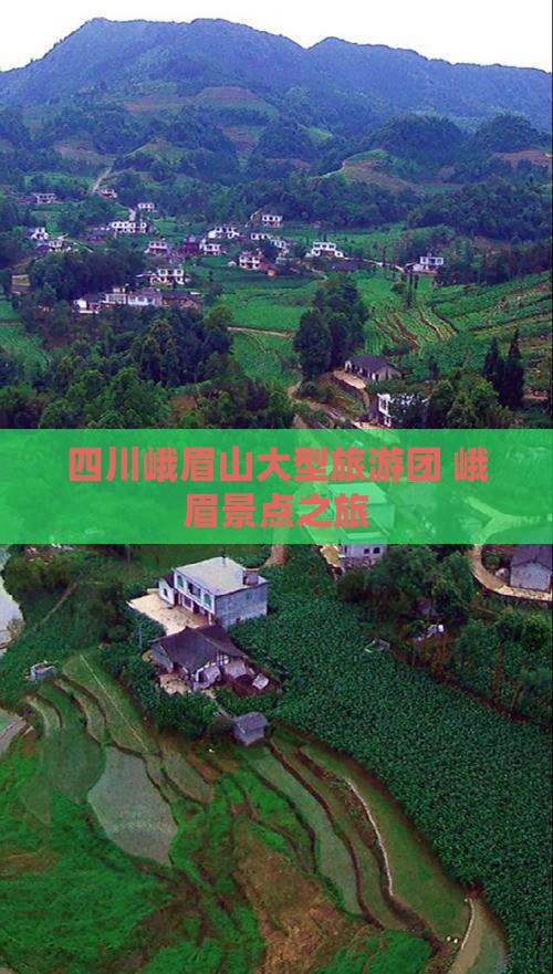 鹤岗去四川峨眉山大型旅游团