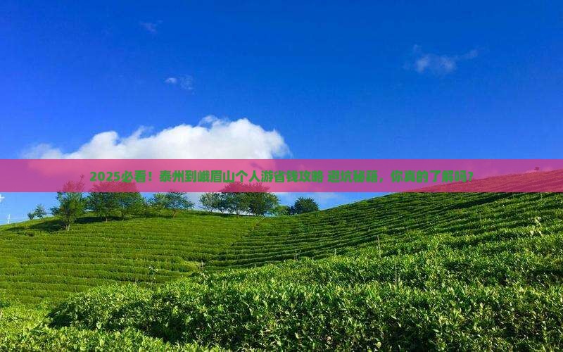 泰州到四川峨眉山个人游