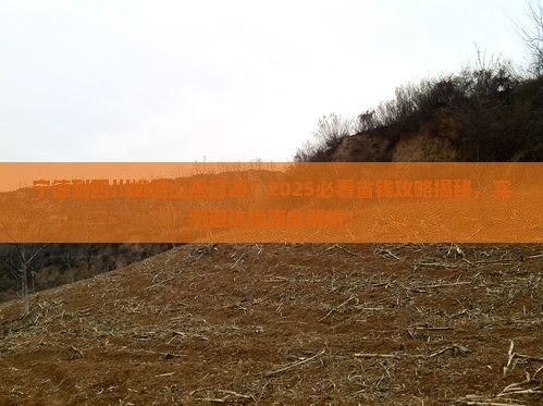 宁德到四川峨眉山四日游