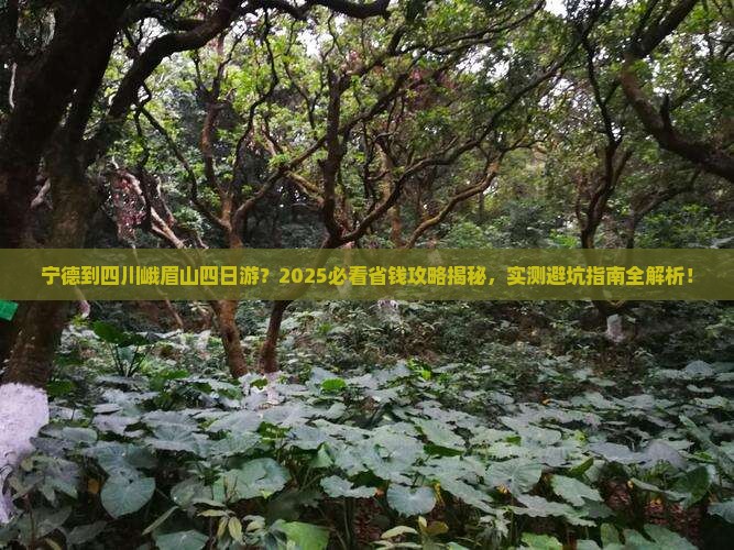 宁德到四川峨眉山四日游