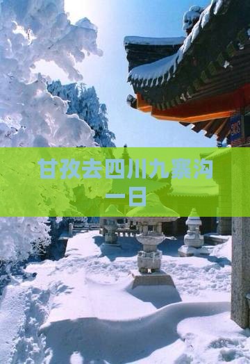 甘孜去四川九寨沟一日