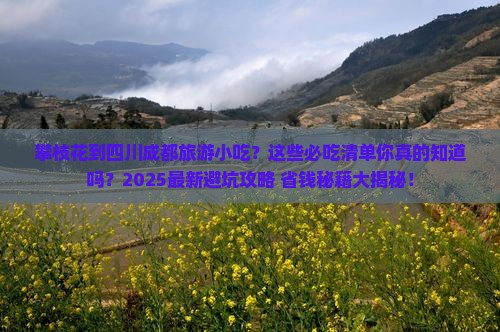 攀枝花到四川成都旅游小吃