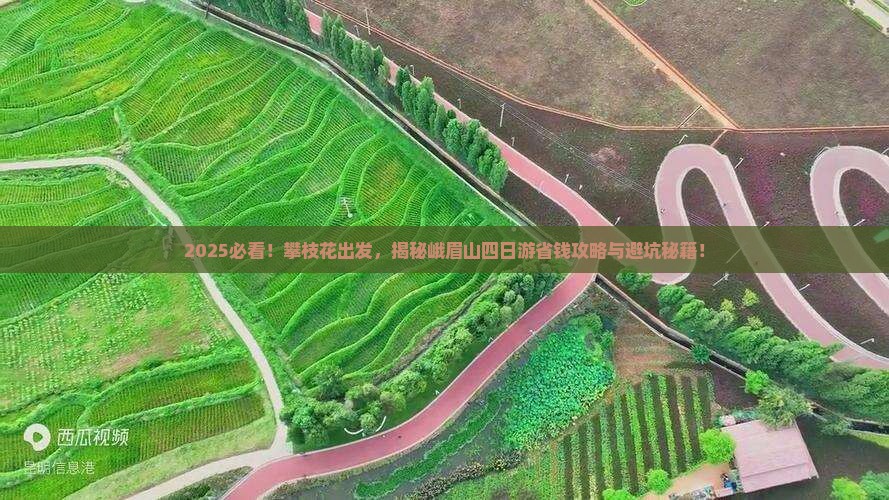 攀枝花去四川峨眉山四日游