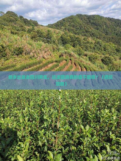 新乡去四川黄龙团体旅游