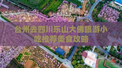 台州去四川乐山大佛旅游小吃
