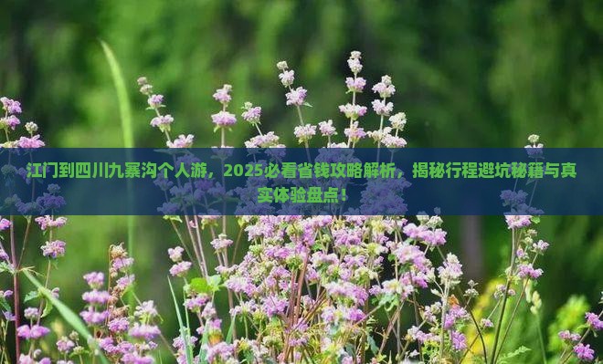 江门到四川九寨沟个人游