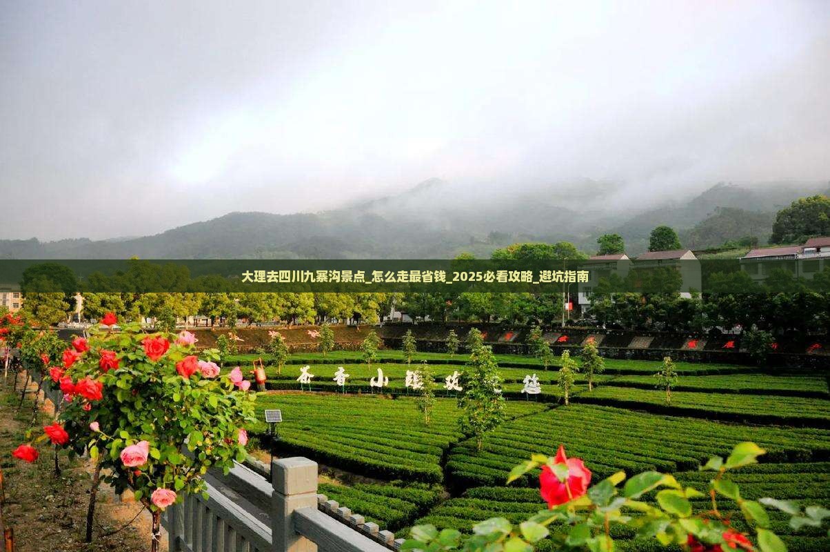 大理去四川九寨沟景点