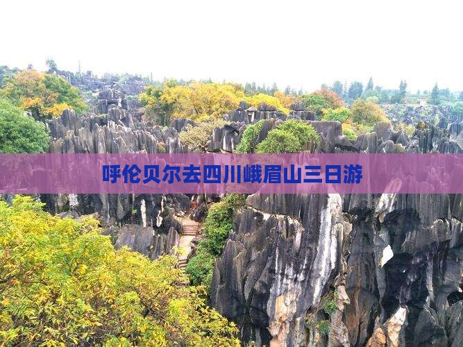 呼伦贝尔去四川峨眉山三日游
