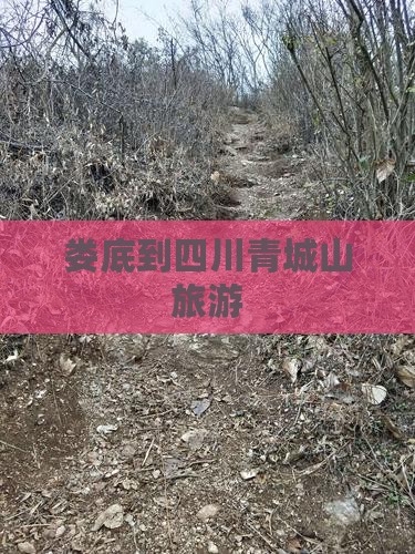 娄底到四川青城山旅游