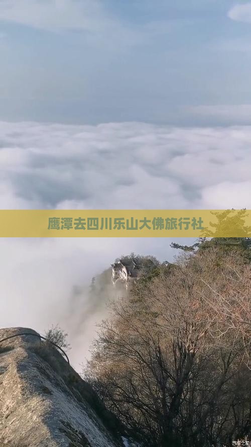 鹰潭去四川乐山大佛旅行社