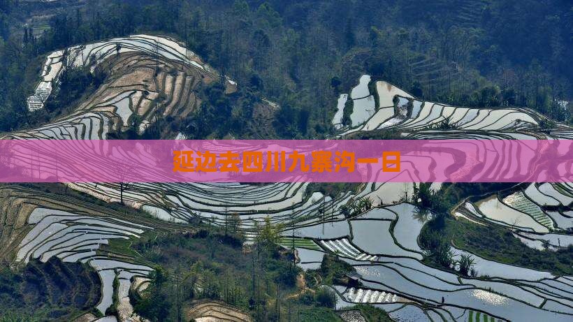 延边去四川九寨沟一日