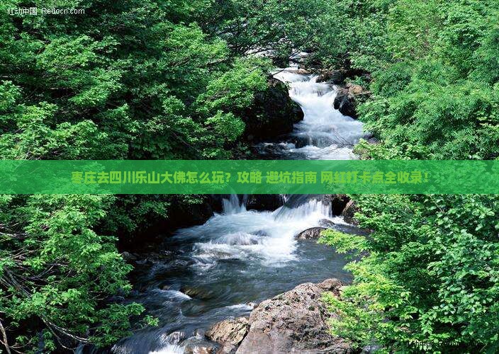 枣庄去四川乐山大佛哪里玩