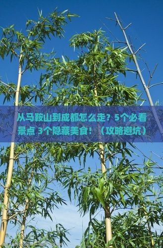 马鞍山去四川成都攻略