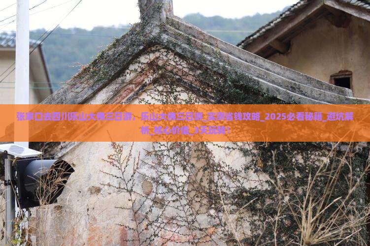 张家口去四川乐山大佛三日游