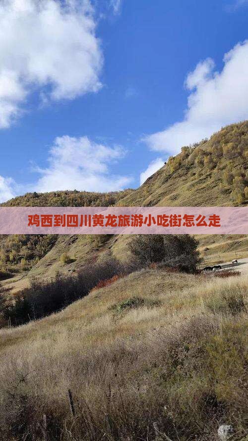 鸡西到四川黄龙旅游小吃
