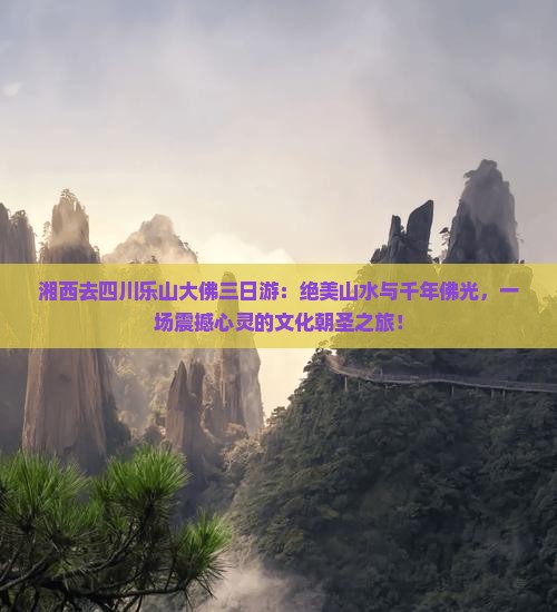 湘西去四川乐山大佛三日游