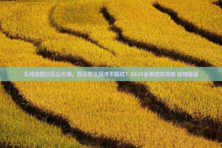 五月到四川乐山大佛四日游