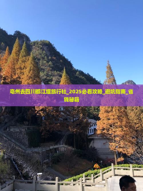 亳州去四川都江堰旅行社