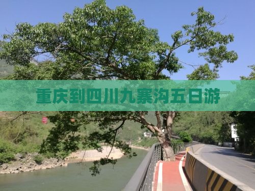 重庆到四川九寨沟五日游