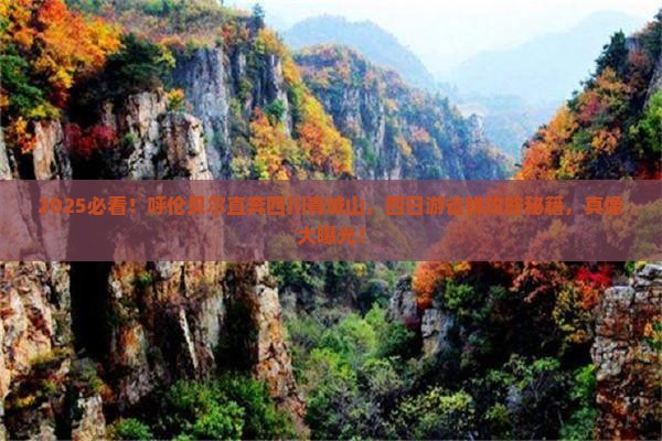 呼伦贝尔去四川青城山四日游