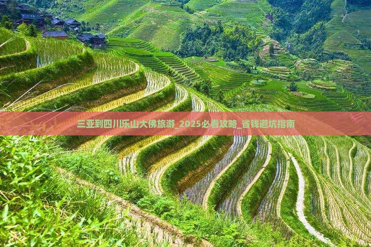 三亚到四川乐山大佛旅游